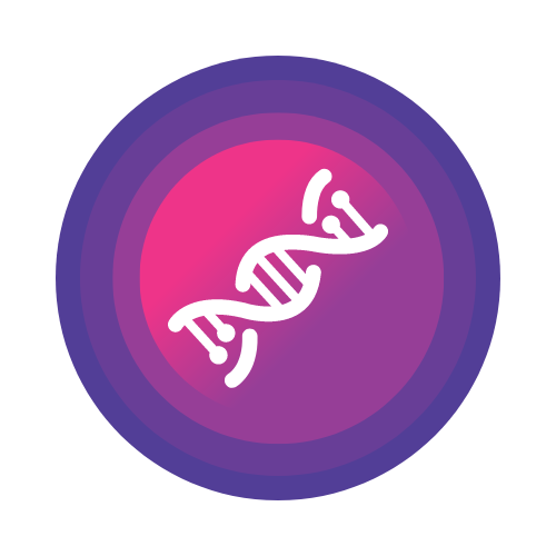 SOTA embeddings icon