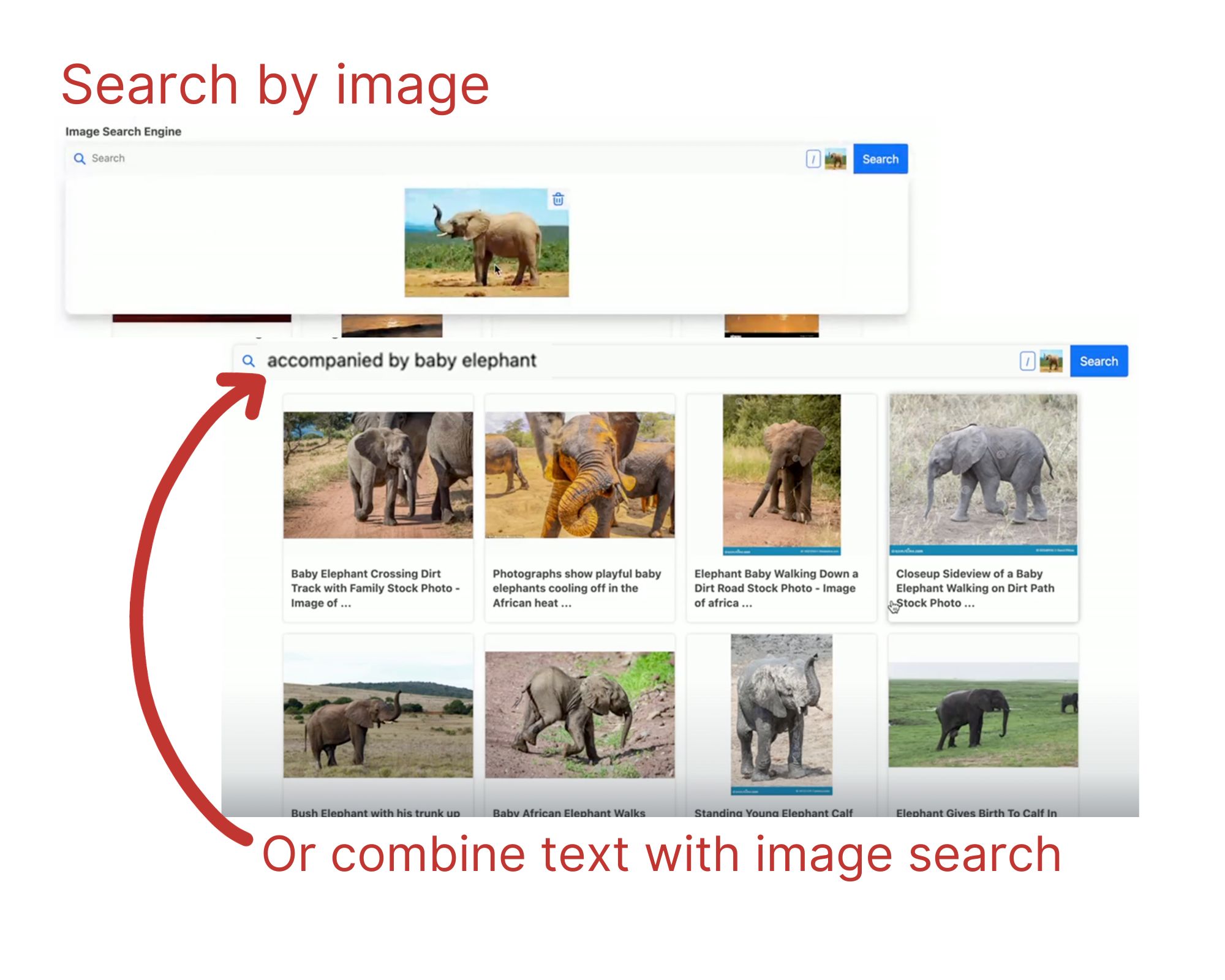 Image Search How-to hero